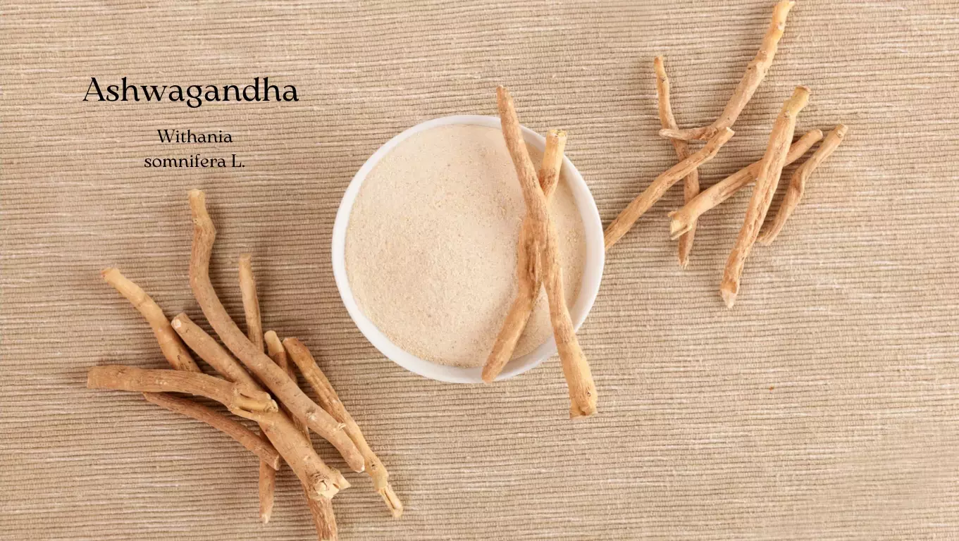 ashwaganda