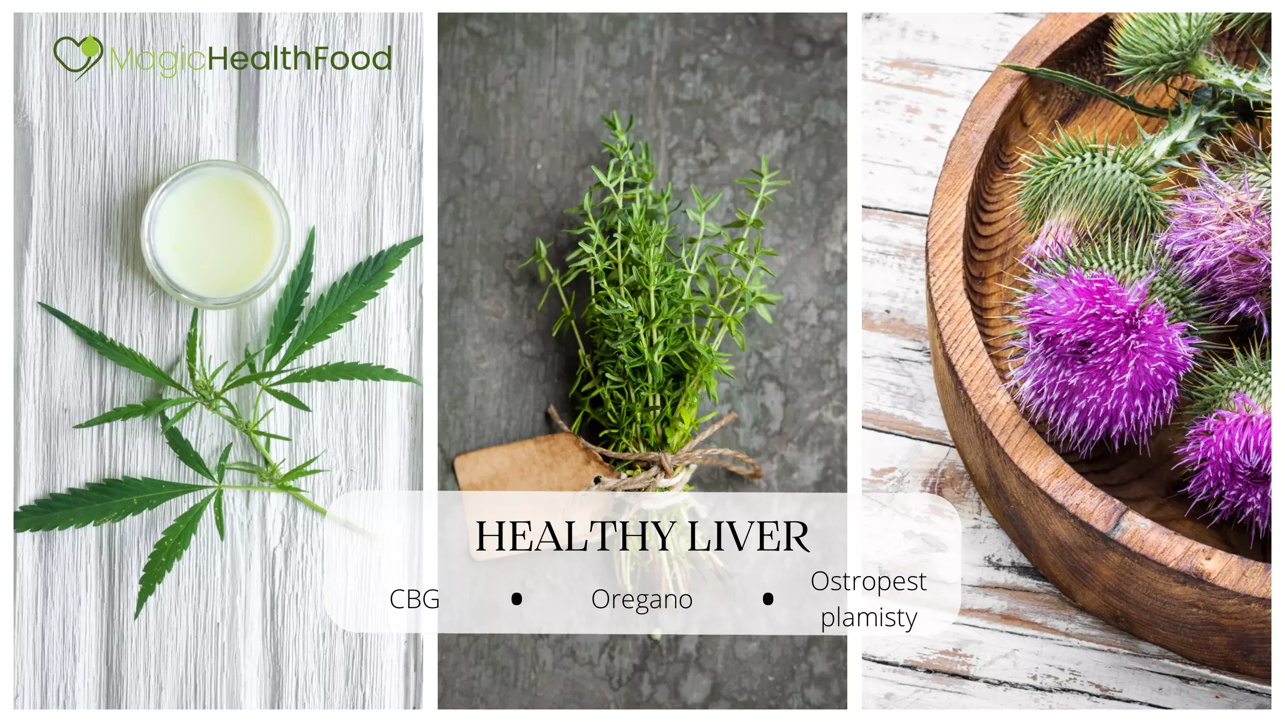 healthy liver